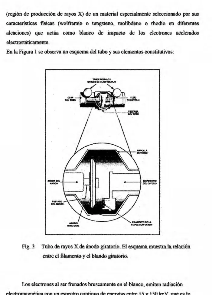 Fig- 3 Tubo. dc: rayos X de énodo giratariex E1 esquema muestm}401a relaciéh.