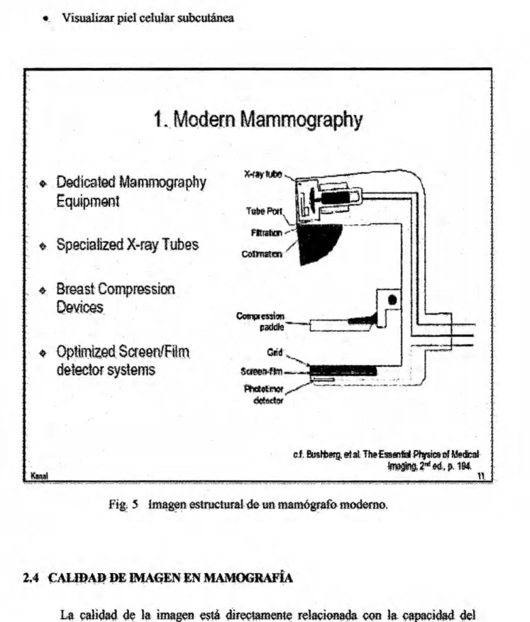 Fig: 5 astrncturair de un mamégrafo modemo.