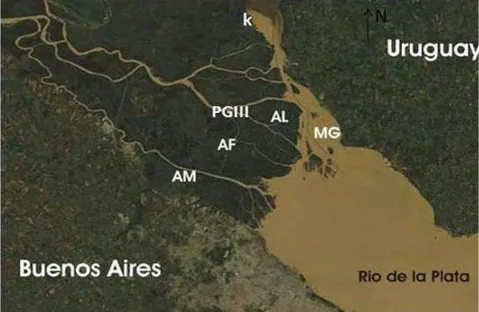 Figura 2. Imagen satelital del estuario del Río de la Plata y el Paraná Inferior donde se señalan los sitios 