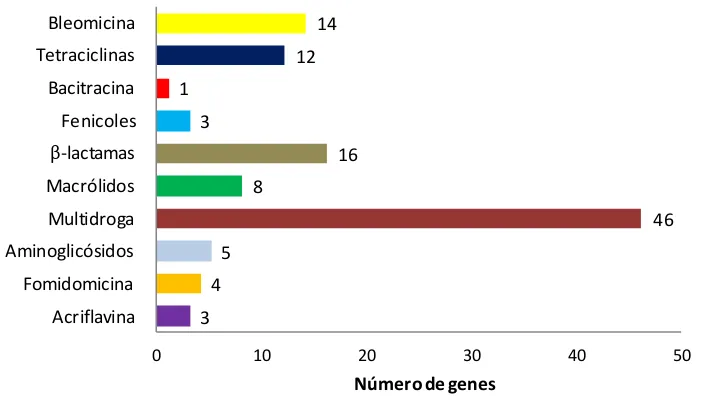 Figura VI.4. Cantidad y variedad de genes de resistencia a antibióticos y acriflavina identificados en el análisis in silico  realizado con el conjunto de datos de secuencia