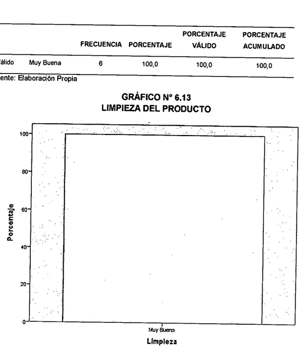 CUADRO N° 6.32  RESUMEN DE LA LIMPIEZA  SEGUNDA PRUEBA EXPERIMENTAL 