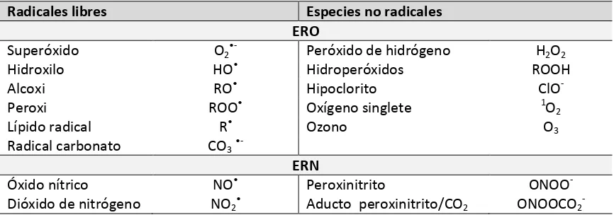 Tabla 2. Principales especies reactivas derivadas del oxígeno (ERO) y nitrógeno (ERN) 