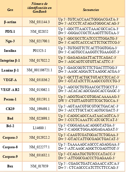 Tabla 1: Secuencia de oligonucleótidos cebadores, incluyendo información del número de  acceso al banco de genes de los ADNc en base a los cuales fueron diseñados
