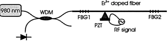 Fig. 1. Experimental setup.