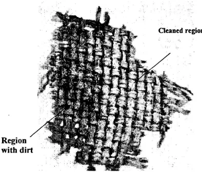 Figure 1 shows a fragment of fabric (cáñamo),they may destroy the sample. On the contrary, laser cleaning avoids mechanical contact and undesired manipulation oftraditional methods for cleaning are brushing and vacuum cleaners with suction regulators, but 