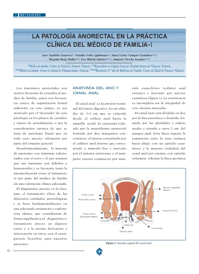 La PatologÍa Anorectal En La PrÁctica ClÍnica Del MÉdico De Familia I 2316