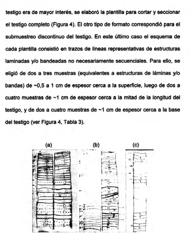 Figura 4. Ejemplo de plantillas usada: pan 0| submuestmo do |os testigos do sedimentos.