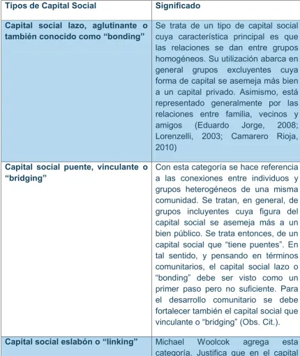 cuadro:  Tabla 2: Tipos de Capital Social 