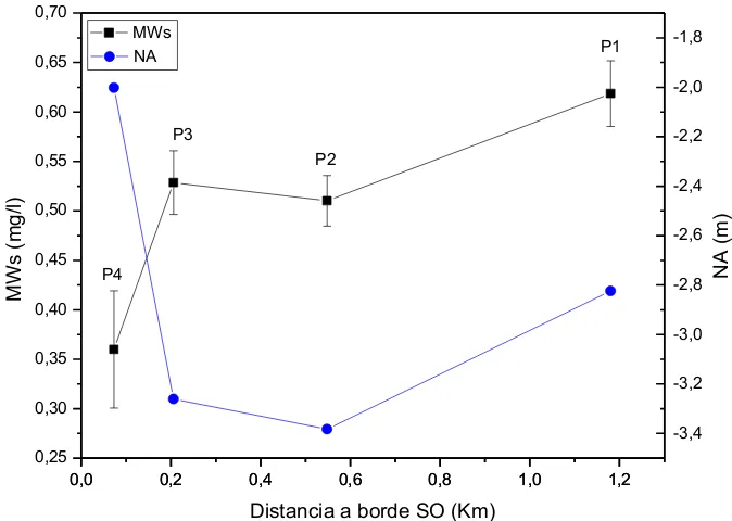 Figura 3.7. Variación de la concentración de CH4 disuelto superficial (MWs) y nivel del agua (NA) sobre el ancho de la laguna para cada punto de muestreo (P) (Distancia a borde SO) 