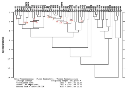 Figura 2. Análisis Jerárquico de Clústers obtenido para cepas clínicas de 1250 cmespectrales correpondientes a la zona de polisacáridos (1200-900 cmB