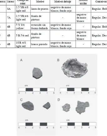 Tabla 2. Datos de los pigmentos extraídos de motivos rupestres en Cueva Maripe