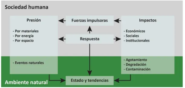 Figura 3: Matriz causa-efecto 