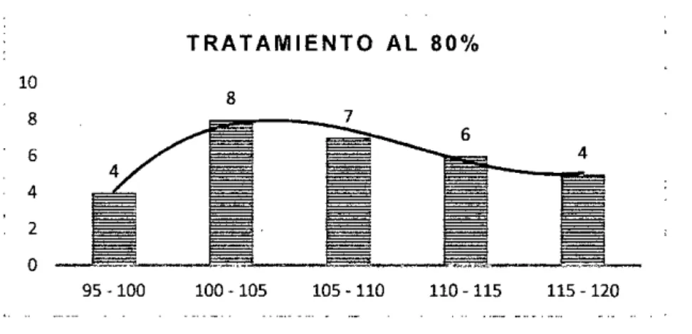 Gráfico N°6.2 