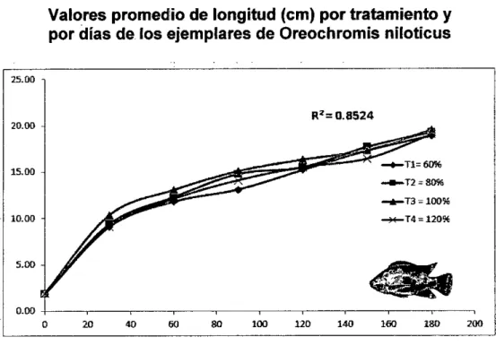 Gráfico N°6. 6 