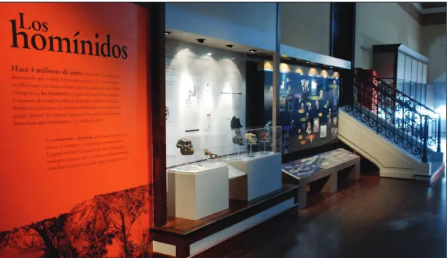 Fig. 4. Exposición Ser y Pertenecer. Un recorrido por la evolución humana, inaugurada en 2009 (Autora de la foto: Pilar Ungaro, Museo de La Plata).