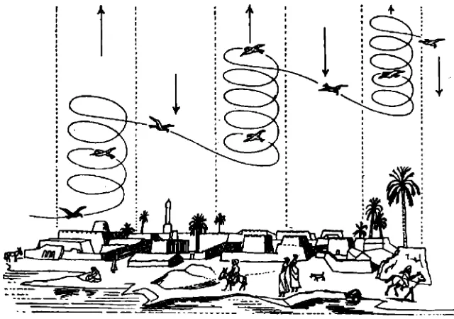 Fig. 4. Las aves pueden ganar altura aprovechando las corrientes ascendentes de aire caliente (térmicas).
