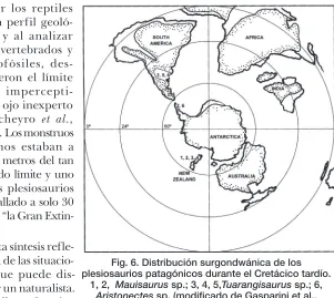 Fig. 5. A, Tuarangisaurus? 
