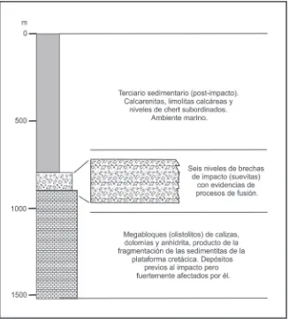 Fig. 2. Estratigrafía cretácico-terciaria del subsuelo de Yucatán en la zona de impacto (datos de Dressler et al., 2003).