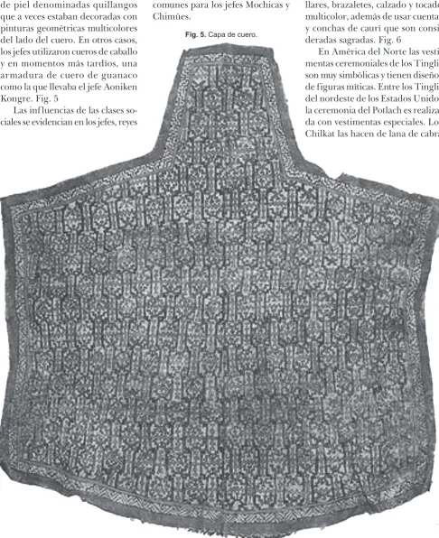 Fig. 5. Capa de cuero.