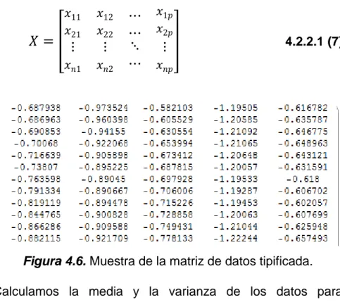 Figura 4.6. Muestra de la matriz de datos tipificada.