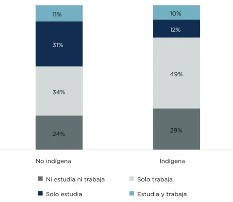 Gráfico 13. 