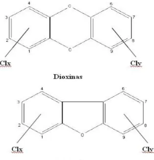 Fig. 3.1 Estructuras de dioxinas. [34, 35]. 