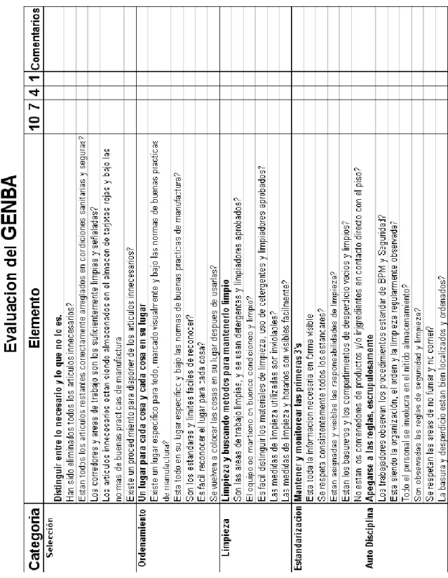 Figura 5. Ejemplo de formato de evaluación. 