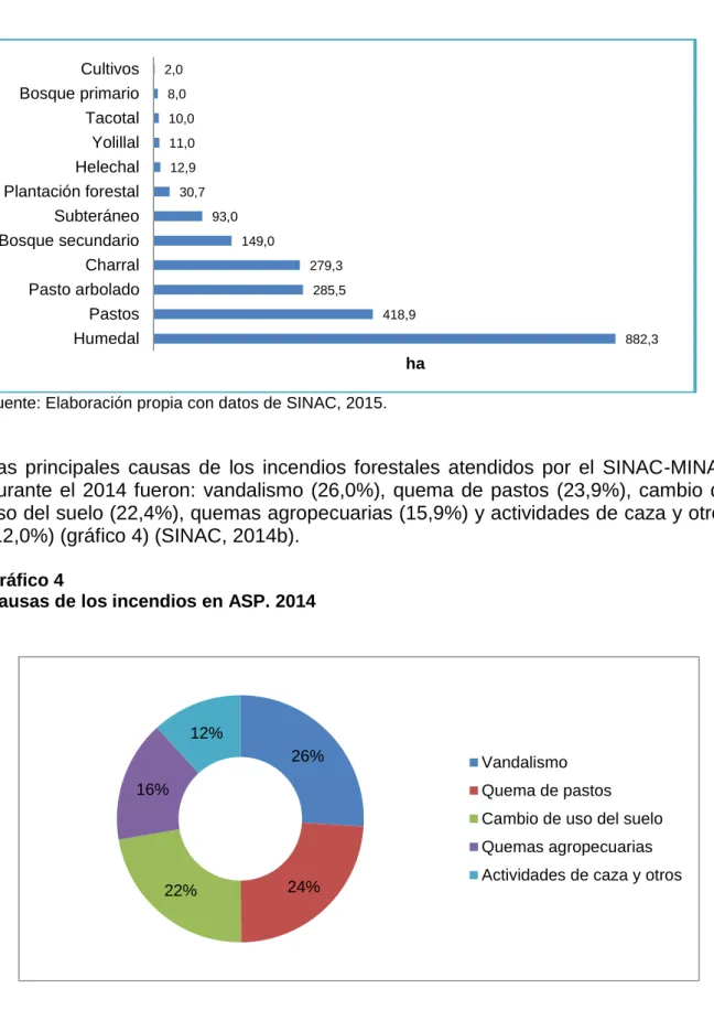 Gráfico 4 