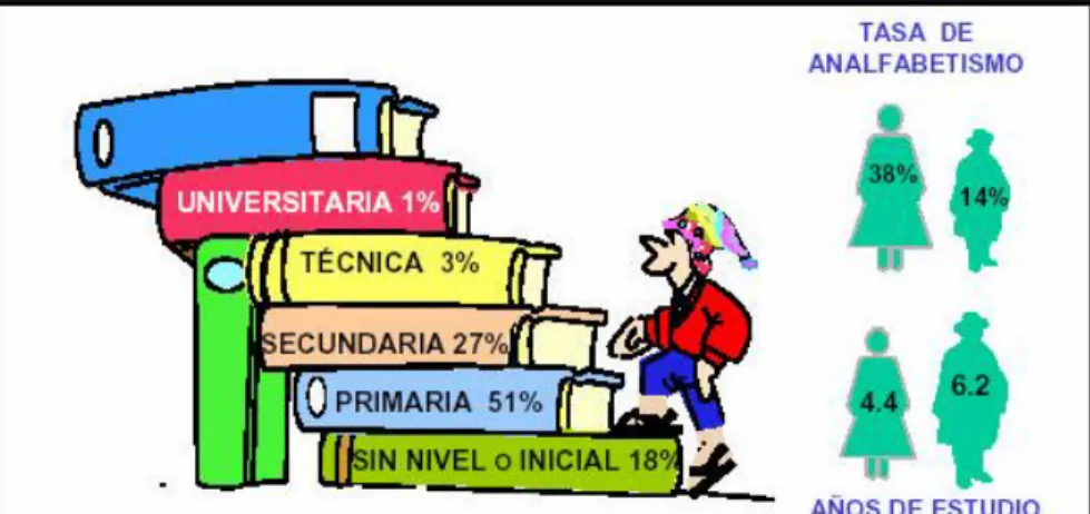 Gráfico Nº 2