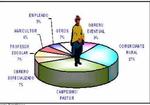 Gráfico Nº 3