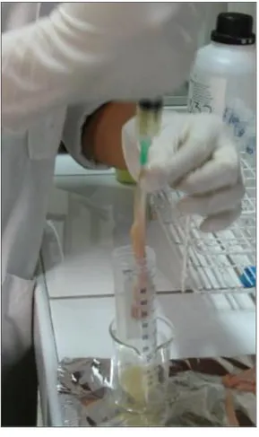 Foto 3. Técnica de Lavado Retrógrado para colectar espermatozoides epididimarios. 