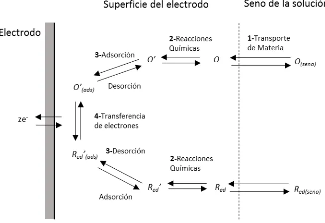 Figura 1.2 – Camino general seguido por una reacción electroquímica heterogénea 