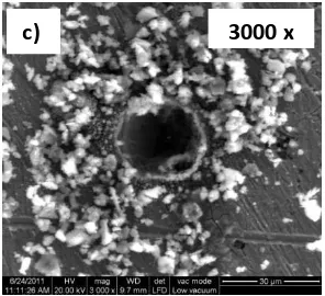 Figura B.1.19 – Micrografía MEBEB y análisis EDX sobre un panel de acero luego de 24 la suspensión de ZLa en NaCl 0,05M