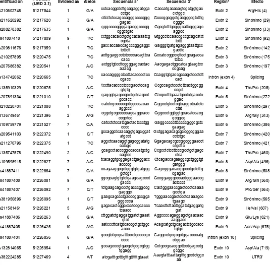 Tabla 5. SNPs reportados en las zonas codificantes del gen bovino LIPE (Gene ID: 286879) 