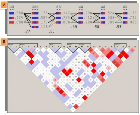 Fig. 23. Distribución de los SNPs detectados en el gen bovino FABP4 por re-secuenciación