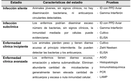 Tabla 2: Pruebas diagnósticas de paratuberculosis bovina más recomendadas agrupadas según el estadio de la enfermedad
