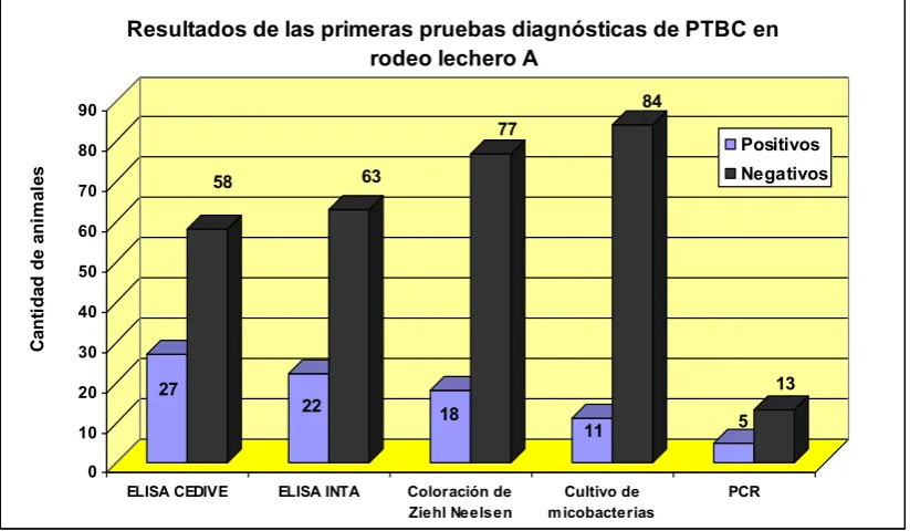 Tabla 6. Animales del rodeo lechero A que presentaron una o más pruebas diagnósticas positivas a paratuberculosis en la primera visita al establecimiento