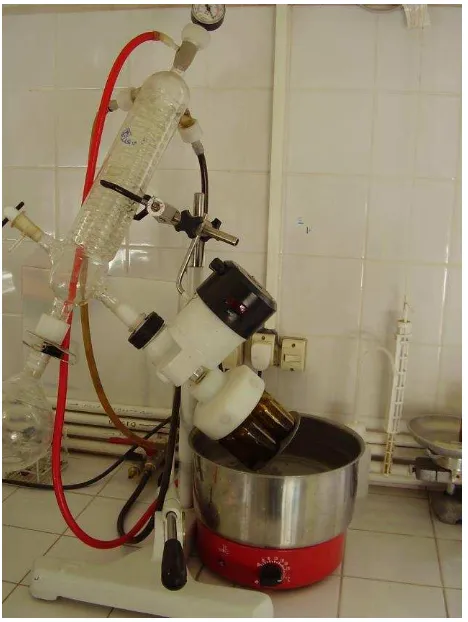 Fig 5: Extractos llevados a sequedad en rotavapor. Nota: la innovación que se muestra en esta Figura consiste en el adaptador para desecar en frasco ampolla de 50 mL alícuotas correspondientes al extracto hidroalcohólico proveniente de 20 g de partes aérea