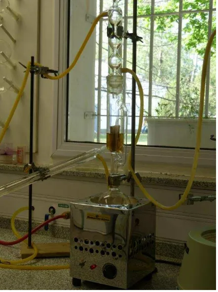 Fig. 8: Extracción en Soxhlet. 