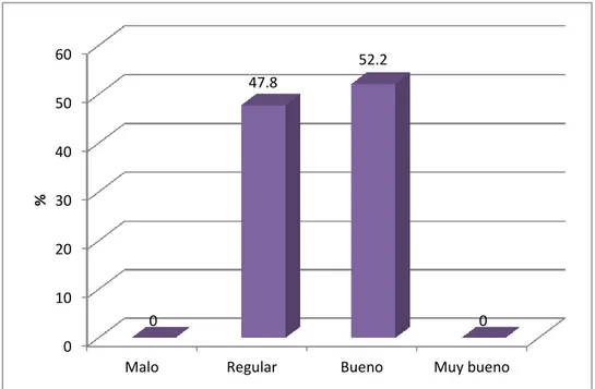 Gráfico  8:  Apoyo  general  de  enfermería  al  familiar  y  adolescente.  Servicio  de  Nefrología del INSN, enero-marzo2012 