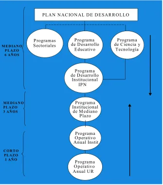 Fig. 5.- Esquema de la planeación institucional 