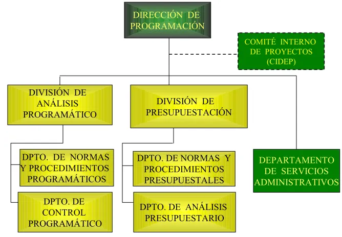 Fig. 8.- Estructura orgánica de la Dirección de Programación 