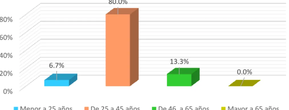 GRÁFICO Nº 1  