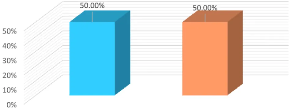 GRÁFICO Nº 2  