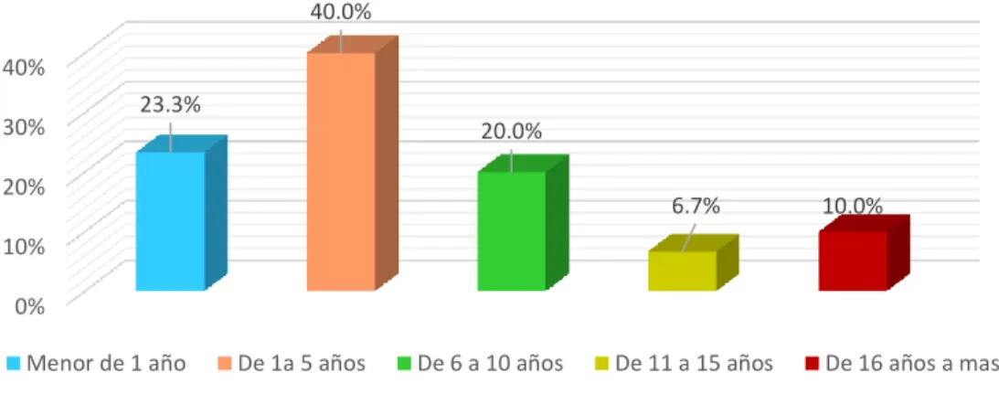 GRÁFICO Nº 4  