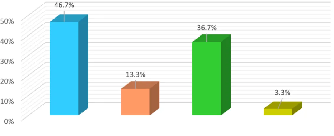 GRÁFICO Nº 11  