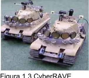 Figura 1.3 CyberRAVE 