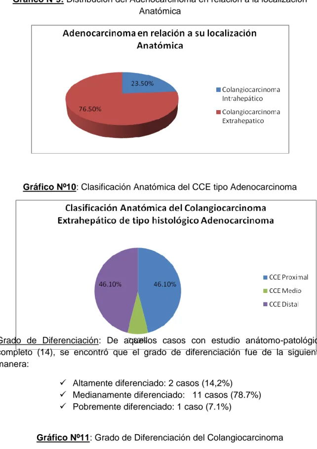 Gráfico Nº9: Distribución del Adenocarcinoma en relación a la localización  Anatómica 