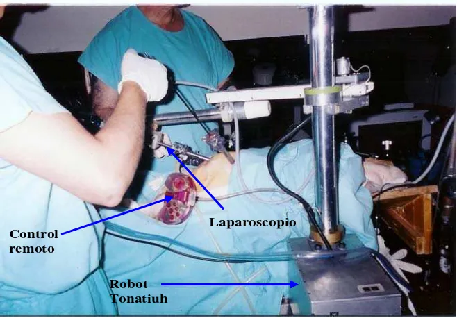 Fig. 4.6 Asistencia del robot Tonatiuh en una cirugía de entrenamiento en lechón.