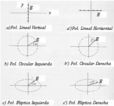 Fig. 1.6  Polarización a) Lineal, b) Elíptica y c) Circular 